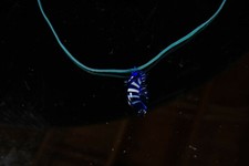 30" Cord Necklace with Blue Glass Seahorse Pendant