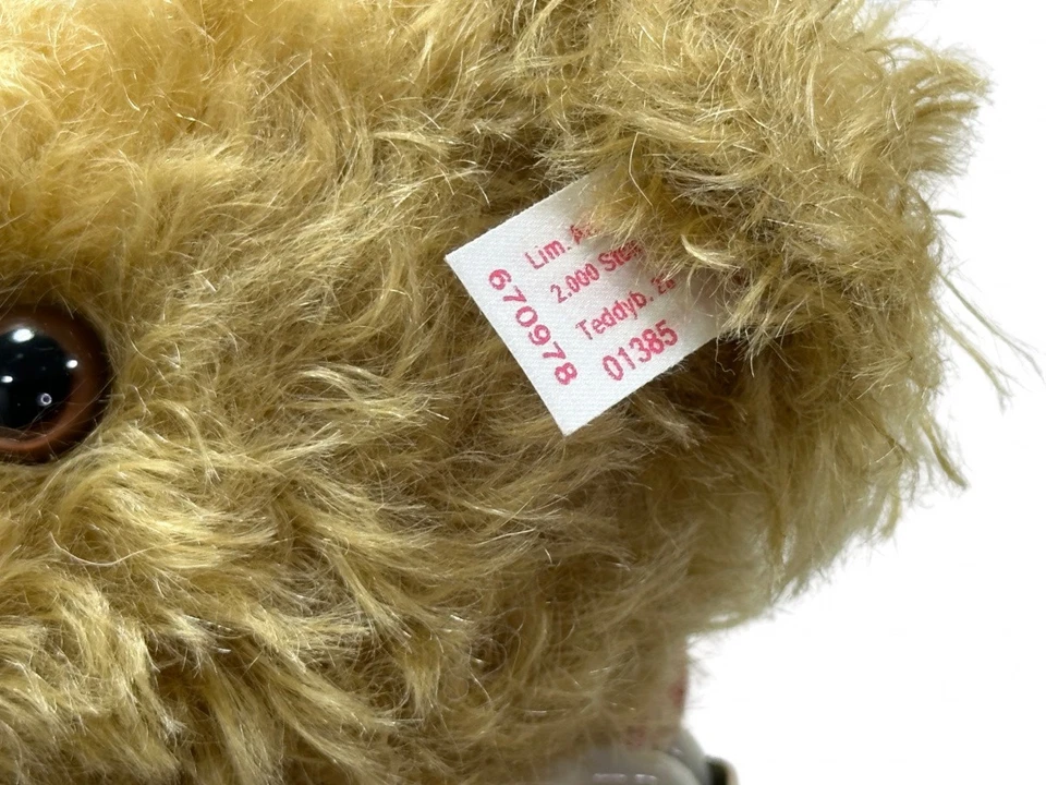 Steiff Tier 670978 Wanderbursche Teddybär 28 cm. Top Zustand - Bild 4 von 4