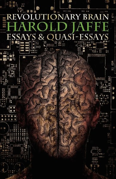 Harold Jaffe | Revolutionary Brain | Taschenbuch | Englisch (2012)-image
