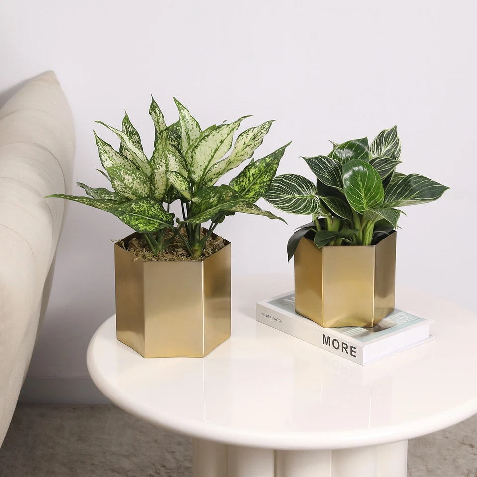 Hexagon Shiny Brass Metal Indoor Decorative Plant Pot, Vase Container, Set of 2 - Image 3 of 4