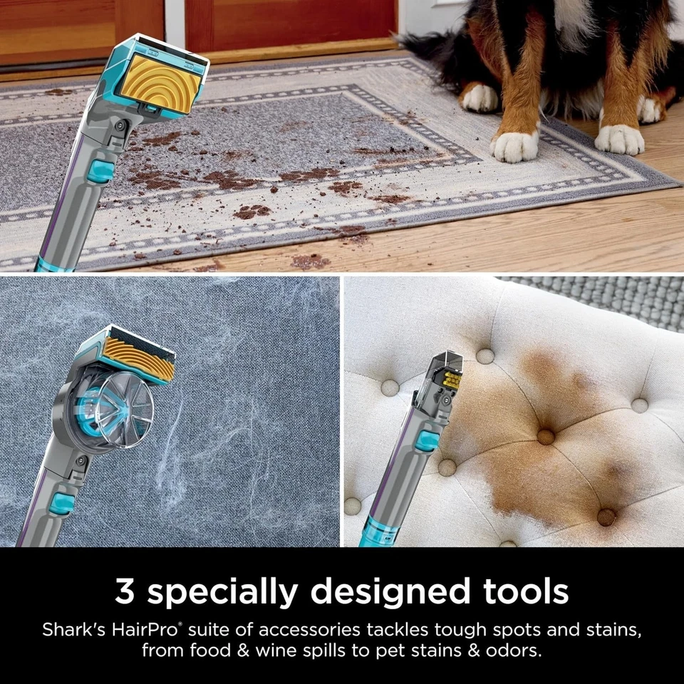 Aspiradora vertical Shark EX300 CarpetXpert HairPro con eliminador de manchas StainStriker Foto 3 de 4