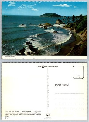 Trinidad Head California Coastal View Vintage Chrome Postcard Whaling Ships