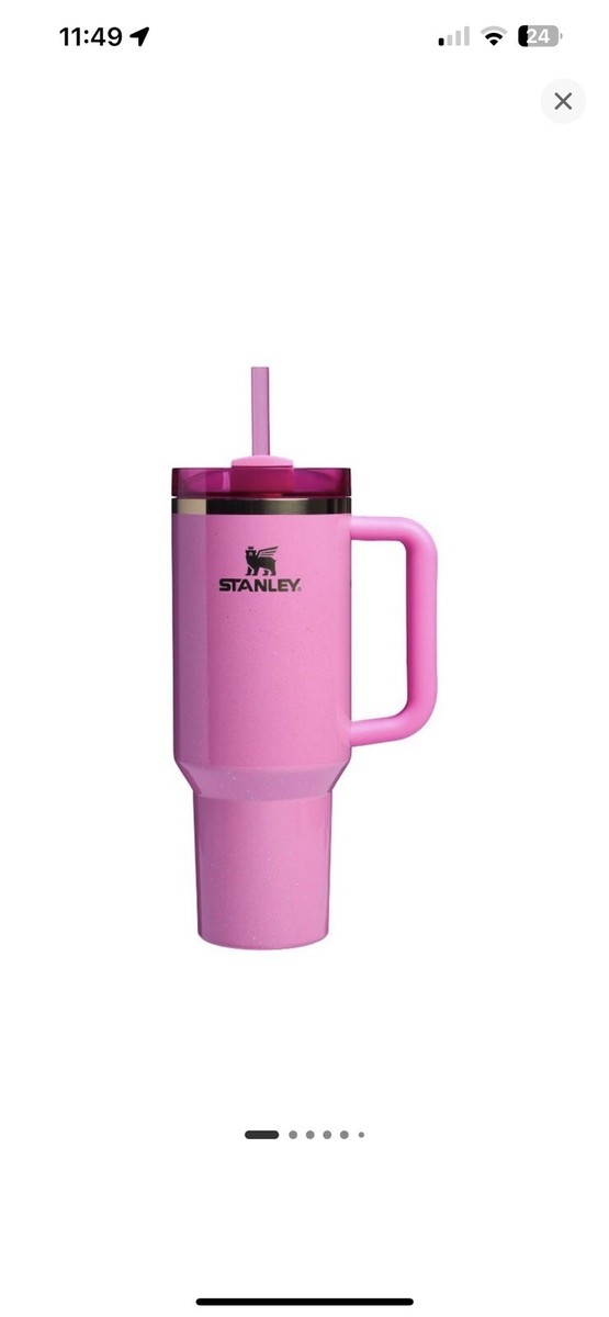 Stanley x Wicked 40oz Tumbler Elphaba Version Target 2024 RARE for