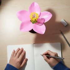 Peach Blossom Teaching Model Enlarged Peach Flower Model Scientific Accuracy