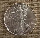 2019 American Silver Eagle 1 Troy Oz. .999 Fine One Dollar BU