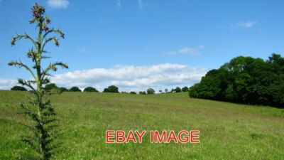 PHOTO  MALPAS LODGE HILL LODGE HILL SEEN FROM ITS WESTERN SLOPES NEAR MALPAS. A