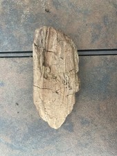 Natural Driftwood for Plants Terrarium Taxidermy Art Projects