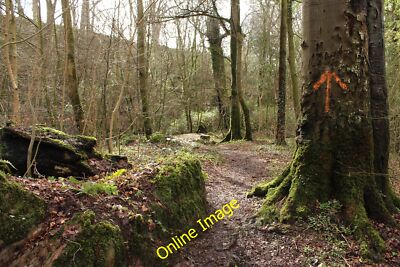 Foto 6x4 Fußweg in Glen Wood, Glenluce Folge dem Pfeil. c2014