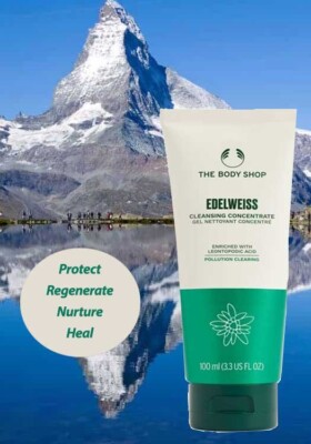 Body Shop Edelweiss Cleansing Concentrate Clearing Face Wash Women Gift  100ml | eBay