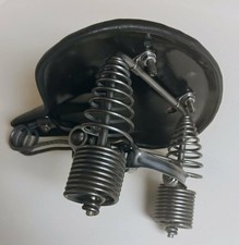 eBay Auction Picture