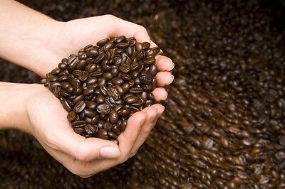 Buy 100% Kona / Hawaiian Medium Roasted Arabica Coffee Beans 2 Units 1 Pound Bags