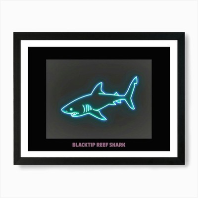 Gerahmtes Wandbild Poster Neon Pink Schwarzspitze Riffhai Poster Leinwanddruck Bild