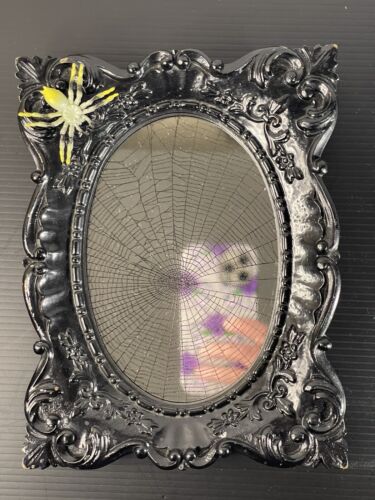 Véritable toile d'araignée conservée sur cadre miroir gothique noir - Photo 1 sur 7