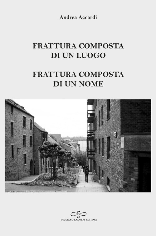 FRATTURA COMPOSTA DI UN LUOGO. FRATTURA COMPOSTA DI UN NOME ACCARDI ANDREA