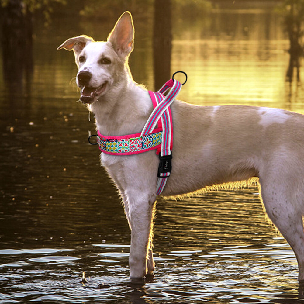 Sporn Dog Harness Reflective No Pull Dog Harness Soft Plush Front Leading Vest With Handle XS-L | UK Dog Harnesses With Non-Pull - Foto 8