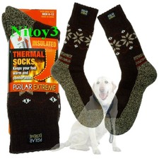 Polar Extreme Thermal Technology Insulated Crew Socks-Men One Size 6-12 BROWN