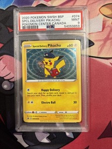 Pikachu Special Delivery | eBay
