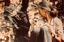 Hand SIGNED Jane Goodall ~6x4 Postcard (w/ Wunda) - Primatologist Anthropologist