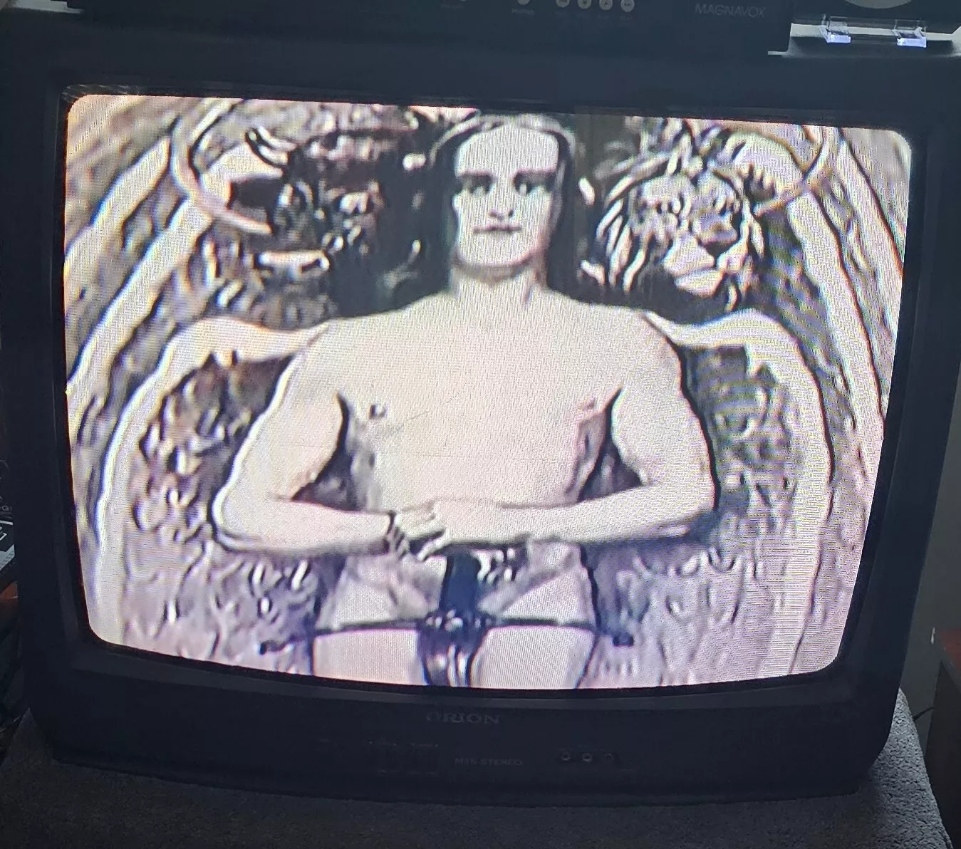 Picture 6 of 10
