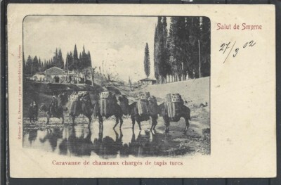 1902 TURKEY SMYRNE AEGEAN CARAVAN OF CAMELS LOADED WITH TURKISH CARPETS