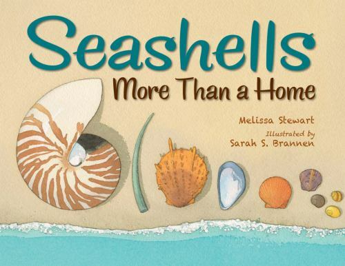 Seashells : more than a Home