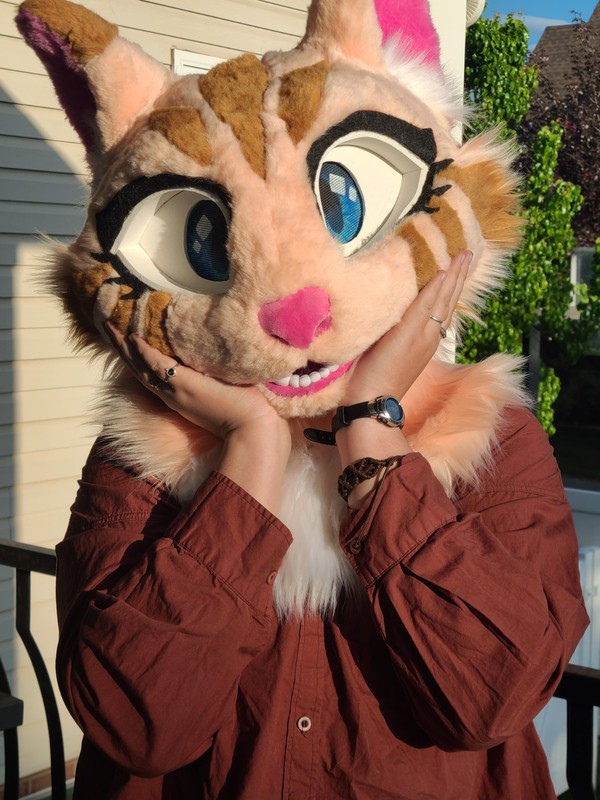 Orange Cat Partial Fursuit Head Paws Handmade New High Quality Free Shipping US