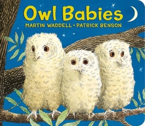 Owl Babies by Martin Waddell: Used