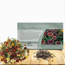 Aztec Sunset Zinnia Seeds - 50 Seeds Annual, Heat & Drought Tolerant Flower S...