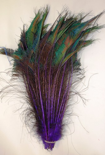 Natural & Dyed PEACOCK SWORDS 10"-35" Feathers; Craft/Costume/Hats/Halloween - Picture 4 of 11