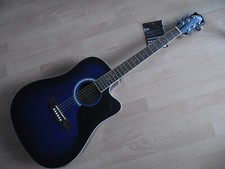 EKO RANGER CW BLS, Electrified Acoustic Guitar, New!