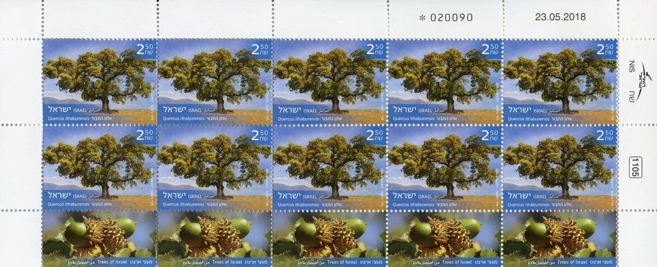 Israel 2018 MNH Trees of Israel 3x 10v M/S Flowers Plants Nature Stamps - Image 3 of 3