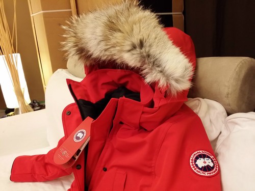 Amazon Jungle Wieg berouw hebben BRAND NEW "RED" (RED LABEL) CANADA GOOSE TRILLIUM SMALL ARCTIC PARKA JACKET | eBay Amazon Jungle Wieg berouw hebben BRAND NEW "RED" (RED LABEL) CANADA GOOSE TRILLIUM SMALL ARCTIC PARKA JACKET | eBay