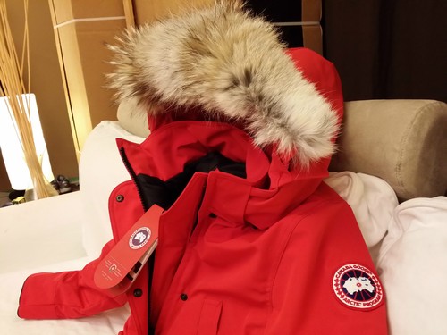 BRAND NEW "RED" (RED LABEL) CANADA GOOSE TRILLIUM SMALL ARCTIC PARKA JACKET - Picture 1 of 12