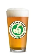 Goose Island Beer Co. IPA Pint Glass, 16 oz, Clear with Green Logo - Set of 2
