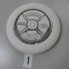 Gateway Training Wizard (NOT PDGA approved) -...