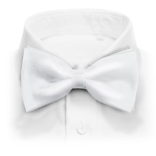 Mens Classic Pre-Tied Satin Formal Tuxedo Bowtie Adjustable Length Large Variety