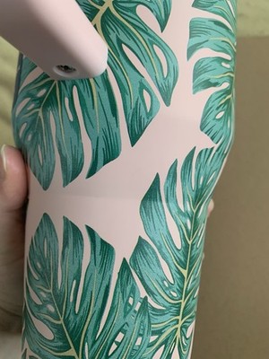 Hydrojug Other | Hydrojug Traveler 40oz Monstera | Color: Green/Pink | Size: Os | Jjstarr22's Closet