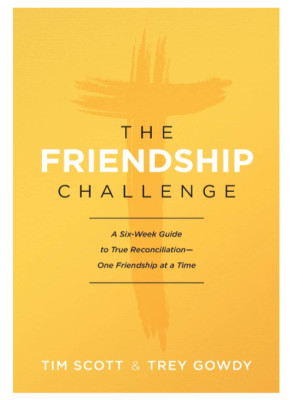 The Friendship Challenge: A Six-Week Guide to True Reconciliation-Paperback NEW