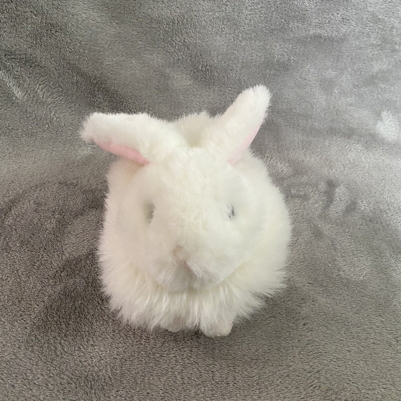 Ty Beanie Buddy 8” Nibbles White Bunny Rabbit Bean Plush Stuffed