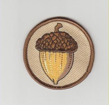 Acorn Nature patch - made in the USA nature lovers high quality embroidery