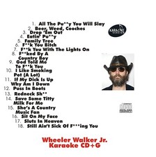 CUSTOM KARAOKE WHEELER WALKER 18 GREAT SONG cdg CD G CRUDE SHOCK EFFECT RARE 