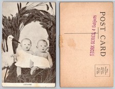 Postal Serie Cigüeña De Colección: "2 DE UNA CLASE" Bebés Gemelos Cigüeña