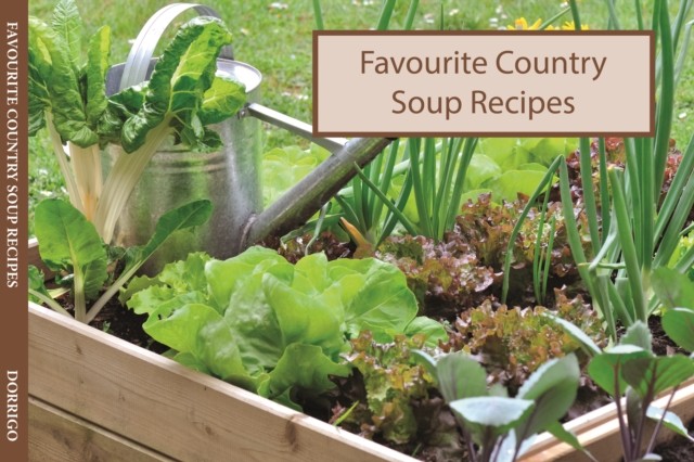 Salmon Favourite Country Soups Recipes (Paperback Book)