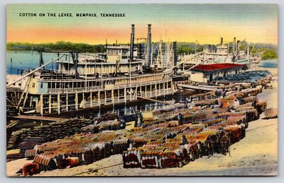 Memphis Tennessee~Bales Of Cotton On The Levee~Riverboats~Vintage Linen Postcard