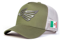 MEXICAN MEXICO Hat Hecho En Mexico Eagle Aguila Curved Baseball Cap Green White