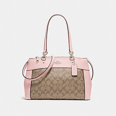 mini brooke carryall coach