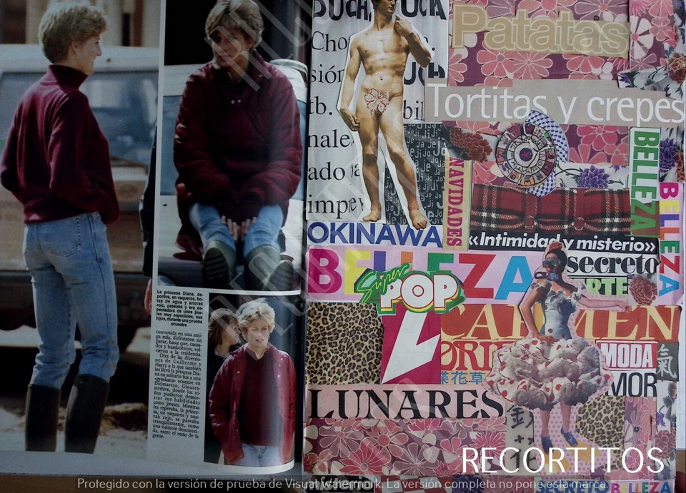 clips 2435 LADY DIANA DE GALES sarah ferguson ana elizabeth ii Foto 3 de 3