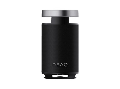 PEAQ PPS 170 Partyspeaker