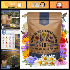 16 Non-GMO Heirloom Wildflower Seed Mix - Attract Bees, Butterflies & Birds, 4oz 183.96 per gallon