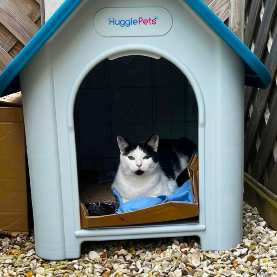 HugglePets Plastic Dog Kennel Weatherproof Pet House In & Outdoor Animal Shelter - Image 4 of 4